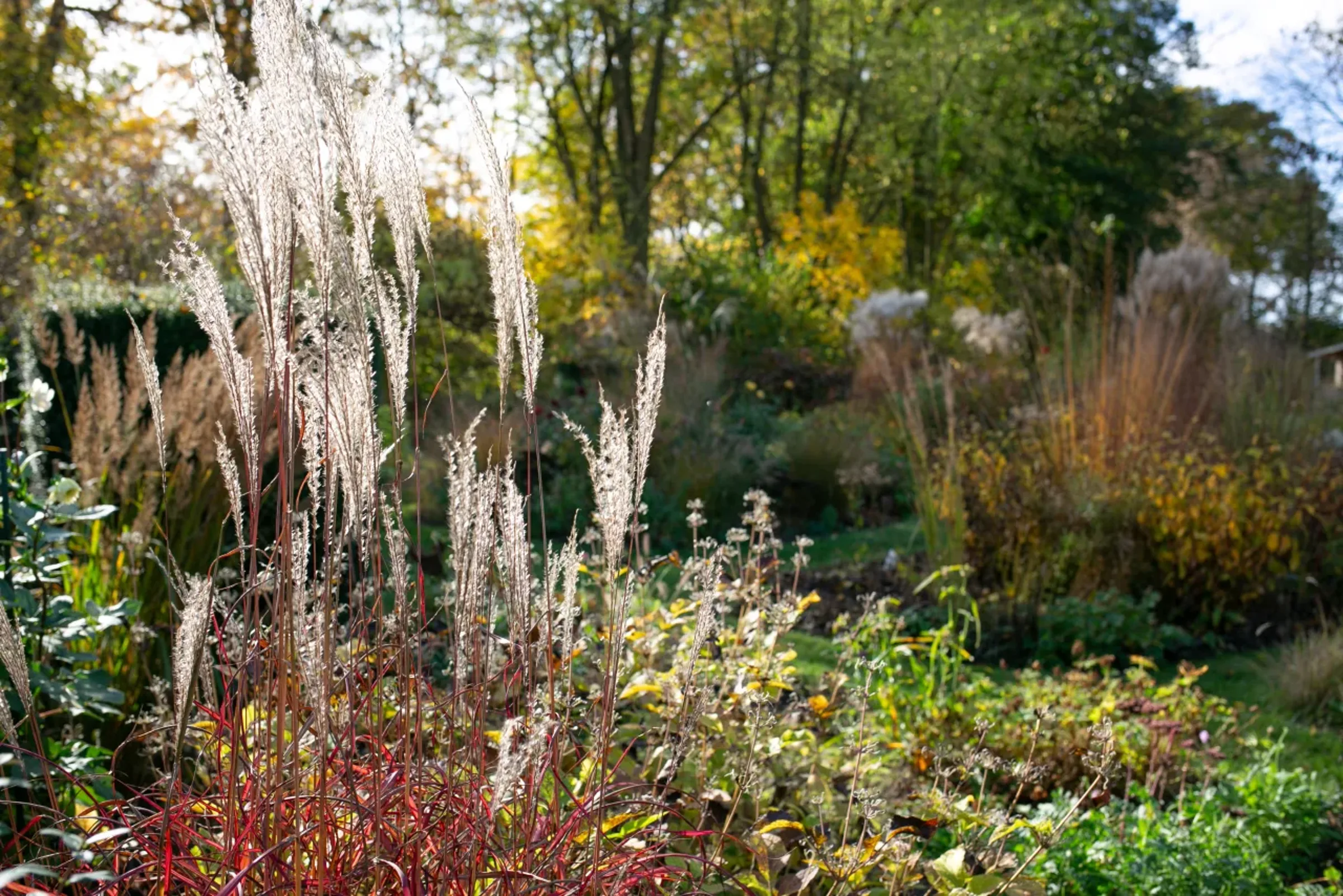 Menschen bei einem sommerlichen Gartenrundgang